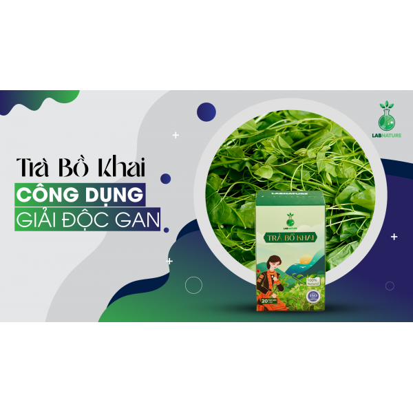 Giải Độc Gan An Toàn Với Trà Bồ Khai: Bí Quyết Bảo Vệ Sức Khỏe Tự Nhiên