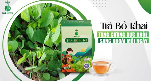Trà Bồ Khai: Tăng Cường Sức Khỏe Toàn Diện, Sảng Khoái Mỗi Ngày