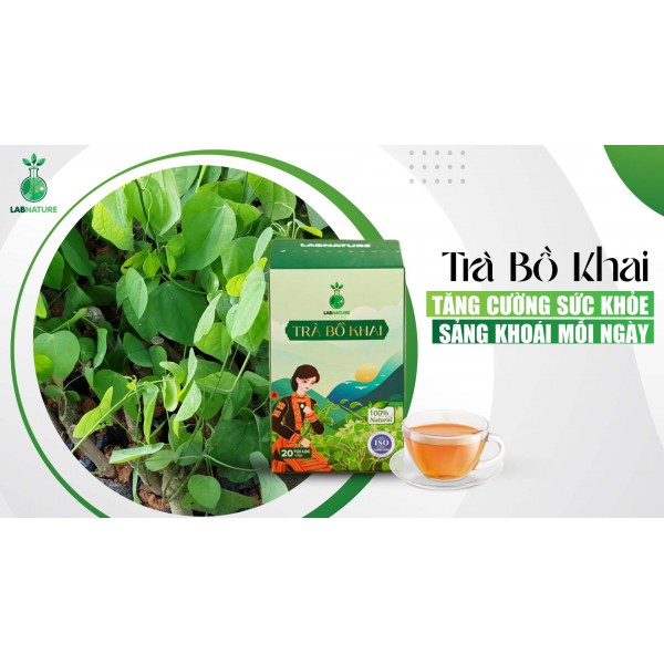 Trà Bồ Khai: Tăng Cường Sức Khỏe Toàn Diện, Sảng Khoái Mỗi Ngày