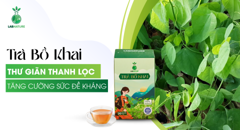 Lợi Ích Sức Khỏe Toàn Diện Từ Trà Bồ Khai: Thư Giãn, Thanh Lọc, Tăng Cường Sức Đề Kháng