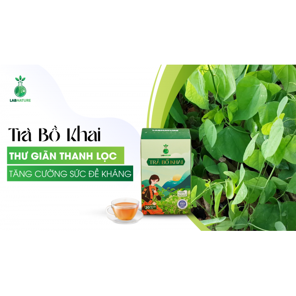 Lợi Ích Sức Khỏe Toàn Diện Từ Trà Bồ Khai: Thư Giãn, Thanh Lọc, Tăng Cường Sức Đề Kháng