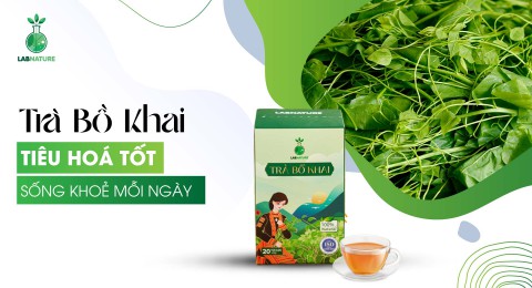 Trà Bồ Khai: Giải Pháp Tự Nhiên Cho Tiêu Hóa Tốt, Sống Khỏe Mạnh Mỗi Ngày