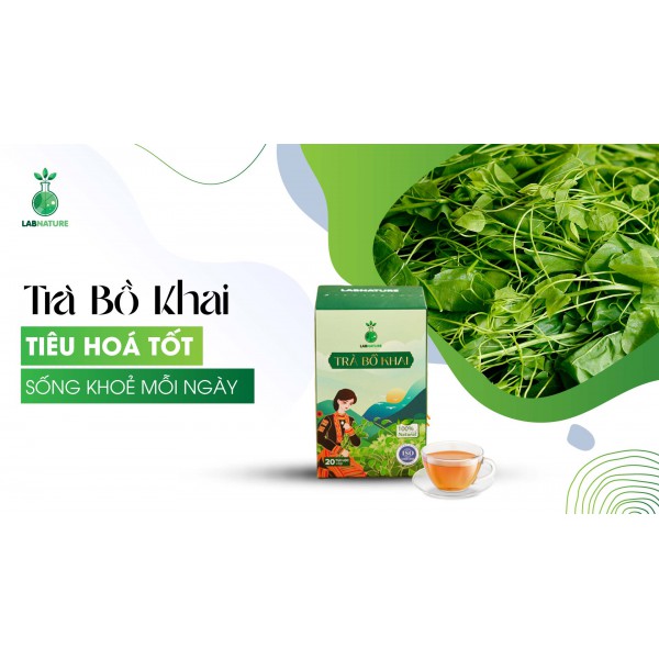 Trà Bồ Khai: Giải Pháp Tự Nhiên Cho Tiêu Hóa Tốt, Sống Khỏe Mạnh Mỗi Ngày