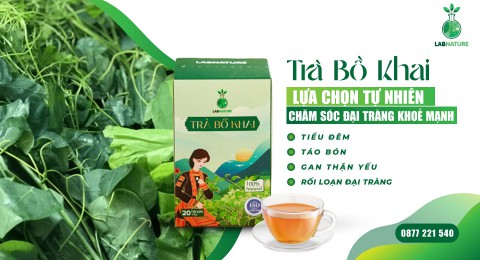 Cây Rau Bồ Khai: Thảo Dược Tự Nhiên Cho Tiêu Hóa Tốt Và Sức Khỏe Bền Vững
