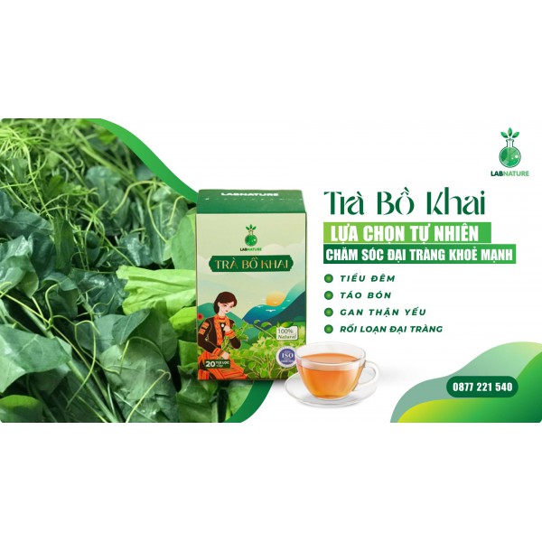 Cây Rau Bồ Khai: Thảo Dược Tự Nhiên Cho Tiêu Hóa Tốt Và Sức Khỏe Bền Vững