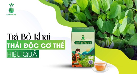 Trà Bồ Khai: Thải Độc Cơ Thể Hiệu Quả