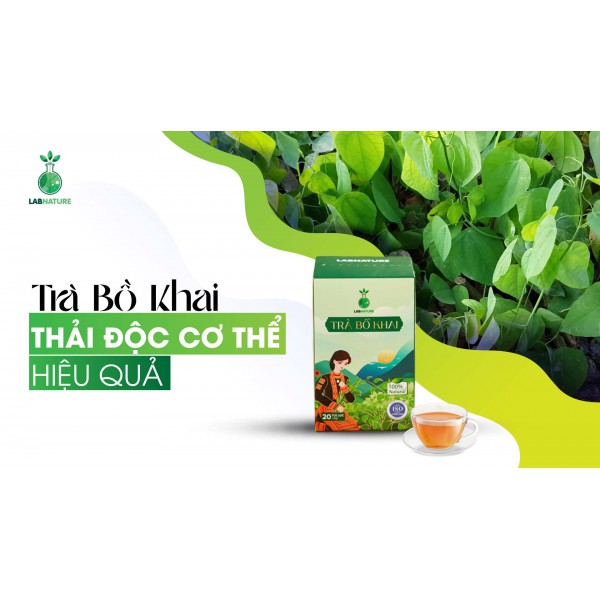 Trà Bồ Khai: Thải Độc Cơ Thể Hiệu Quả
