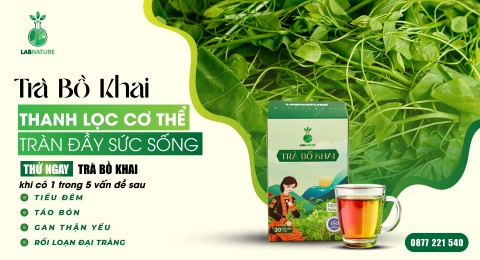 Trà Bồ Khai: Hỗ Trợ Đường Ruột - Tự Nhiên và Hiệu Quả