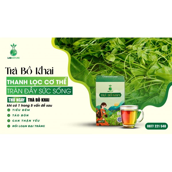 Trà Bồ Khai: Hỗ Trợ Đường Ruột - Tự Nhiên và Hiệu Quả