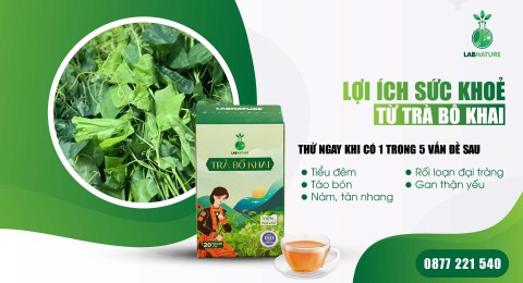 Lợi Ích Sức Khỏe Từ Trà Bồ Khai