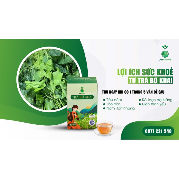 Lợi Ích Sức Khỏe Từ Trà Bồ Khai