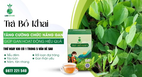 Trà Bồ Khai: Chăm Sóc Gan Tự Nhiên