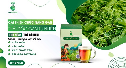Sức Khỏe Toàn Diện Với Trà Bồ Khai