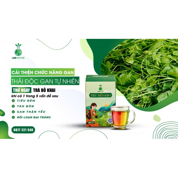 Sức Khỏe Toàn Diện Với Trà Bồ Khai