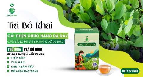 Trà Bồ Khai: Hỗ Trợ Hệ Tiêu Hóa