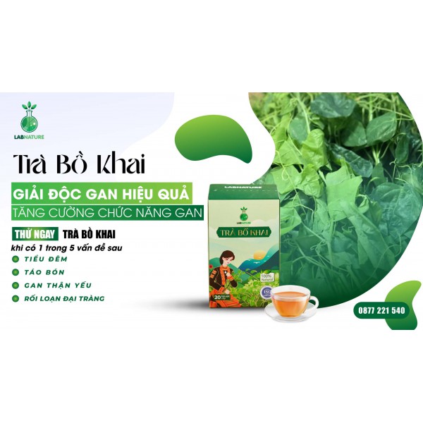 Trà Bồ Khai: Thanh Lọc Gan Và Cơ Thể