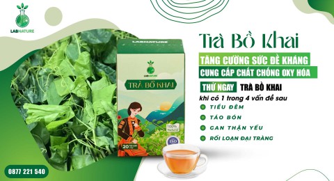 Trà Bồ Khai: Chăm Sóc Sức Khỏe Mỗi Ngày