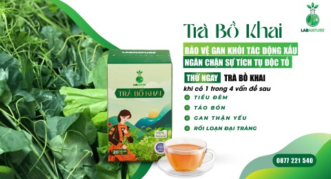 Trà Bồ Khai: Giải Pháp Cho Gan Khỏe