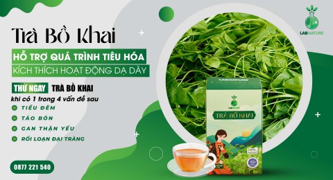 Tiêu Hóa Tốt Hơn Với Trà Bồ Khai