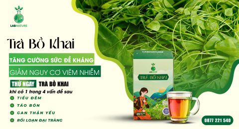 Trà Bồ Khai: Tăng Cường Sức Khỏe Từ Thiên Nhiên