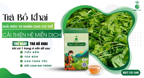 Lợi Ích Của Trà Bồ Khai Đối Với Sức Khỏe