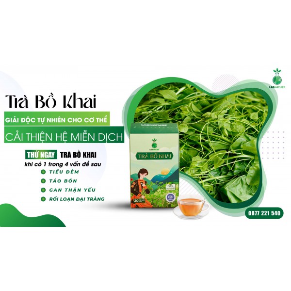 Lợi Ích Của Trà Bồ Khai Đối Với Sức Khỏe