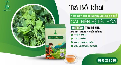 Giải Độc, Thanh Lọc Với Trà Bồ Khai – Lối Sống Sạch Và Lành Mạnh