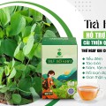 Trà Bồ Khai: Giải Độc Gan Tự Nhiên – Bí Quyết Bảo Vệ Sức Khỏe Của Bạn