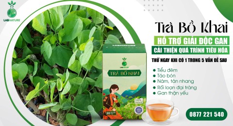 Trà Bồ Khai: Giải Độc Gan Tự Nhiên – Bí Quyết Bảo Vệ Sức Khỏe Của Bạn