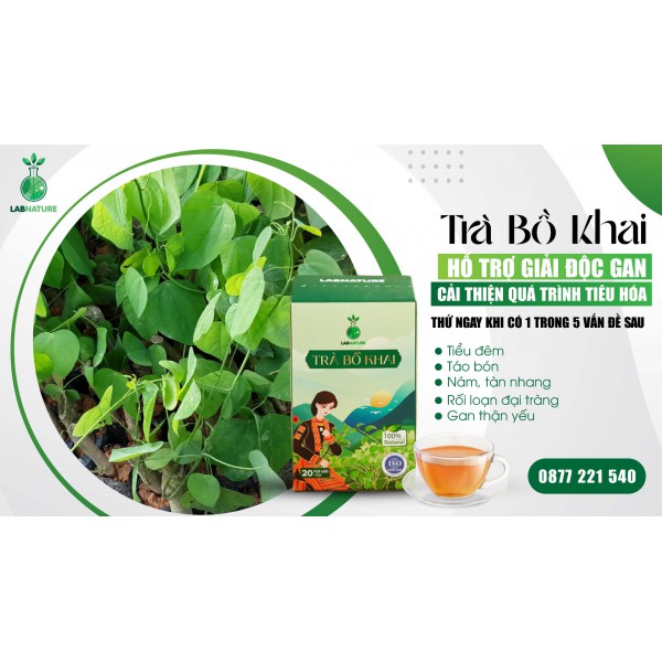Trà Bồ Khai: Giải Độc Gan Tự Nhiên – Bí Quyết Bảo Vệ Sức Khỏe Của Bạn