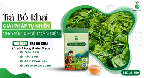 Trà Bồ Khai: Giải Pháp Tự Nhiên Cho Sức Khỏe Toàn Diện