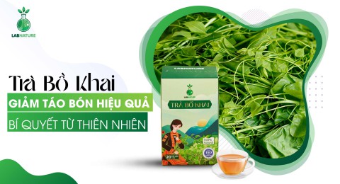 Giảm Táo Bón Hiệu Quả Với Trà Bồ Khai – Bí Quyết Từ Thiên Nhiên