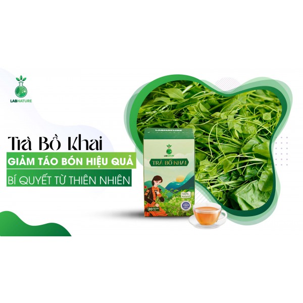 Giảm Táo Bón Hiệu Quả Với Trà Bồ Khai – Bí Quyết Từ Thiên Nhiên