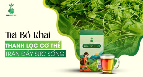 Trà Bồ Khai: Thanh Lọc Cơ Thể Tự Nhiên, Giúp Bạn Luôn Khỏe Mạnh Và Tràn Đầy Sức Sống
