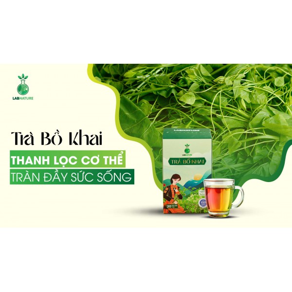 Trà Bồ Khai: Thanh Lọc Cơ Thể Tự Nhiên, Giúp Bạn Luôn Khỏe Mạnh Và Tràn Đầy Sức Sống